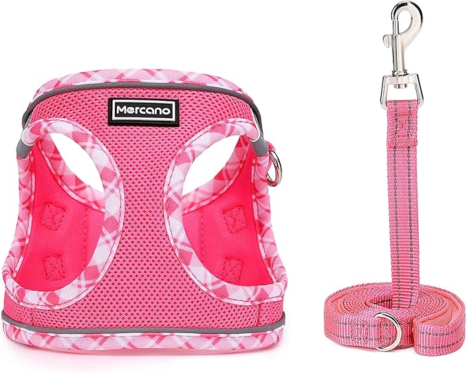 Mercano Soft Mesh Dog Harness and Leash Set, No-Chock Step-in Reflective Breathable Lightweight Easy Walk Vest Harnesses with Safety Buckle for Small Dogs, Cats (XS, Fuchsia)