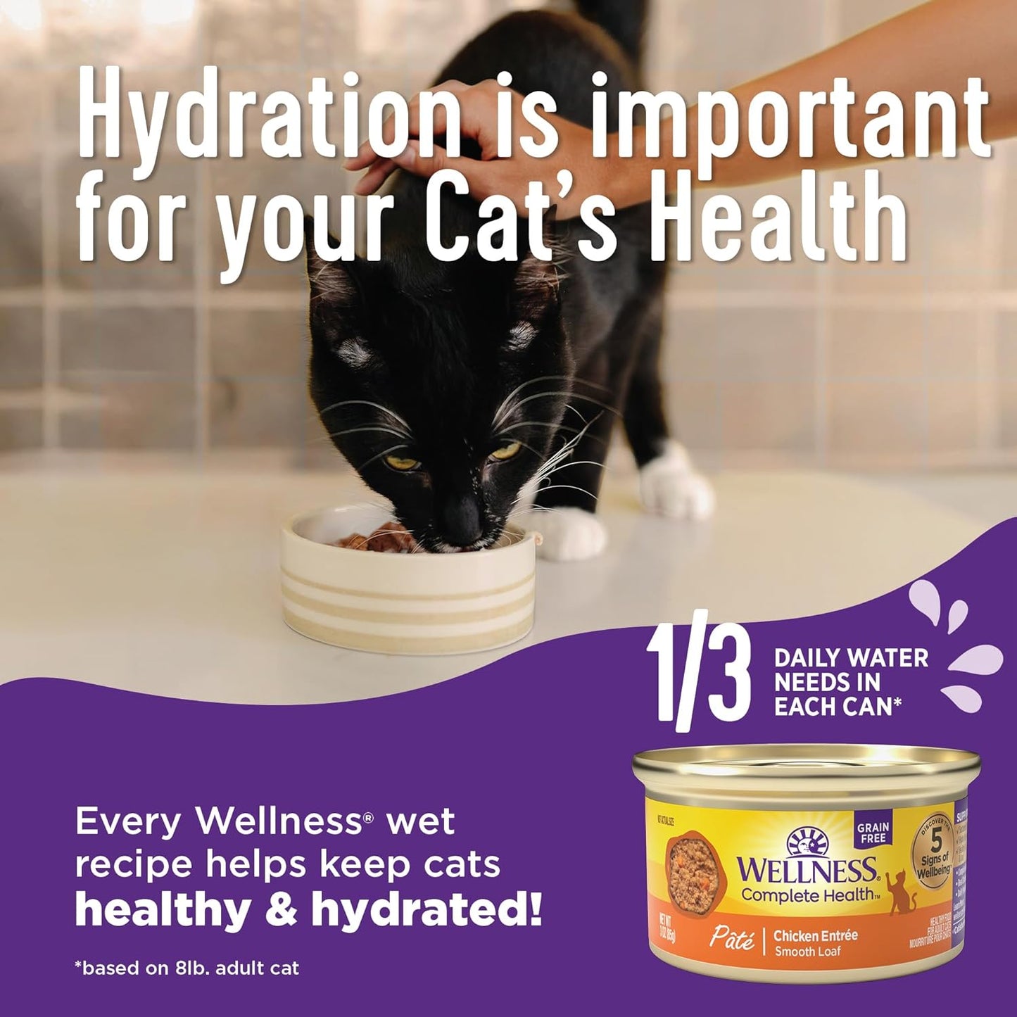 Wellness Complete Health Minced Adult Wet Cat Food, Natural, Protein-Rich, Grain Free, 5.5 Ounce, 24 Pack, (Chicken Entrée)