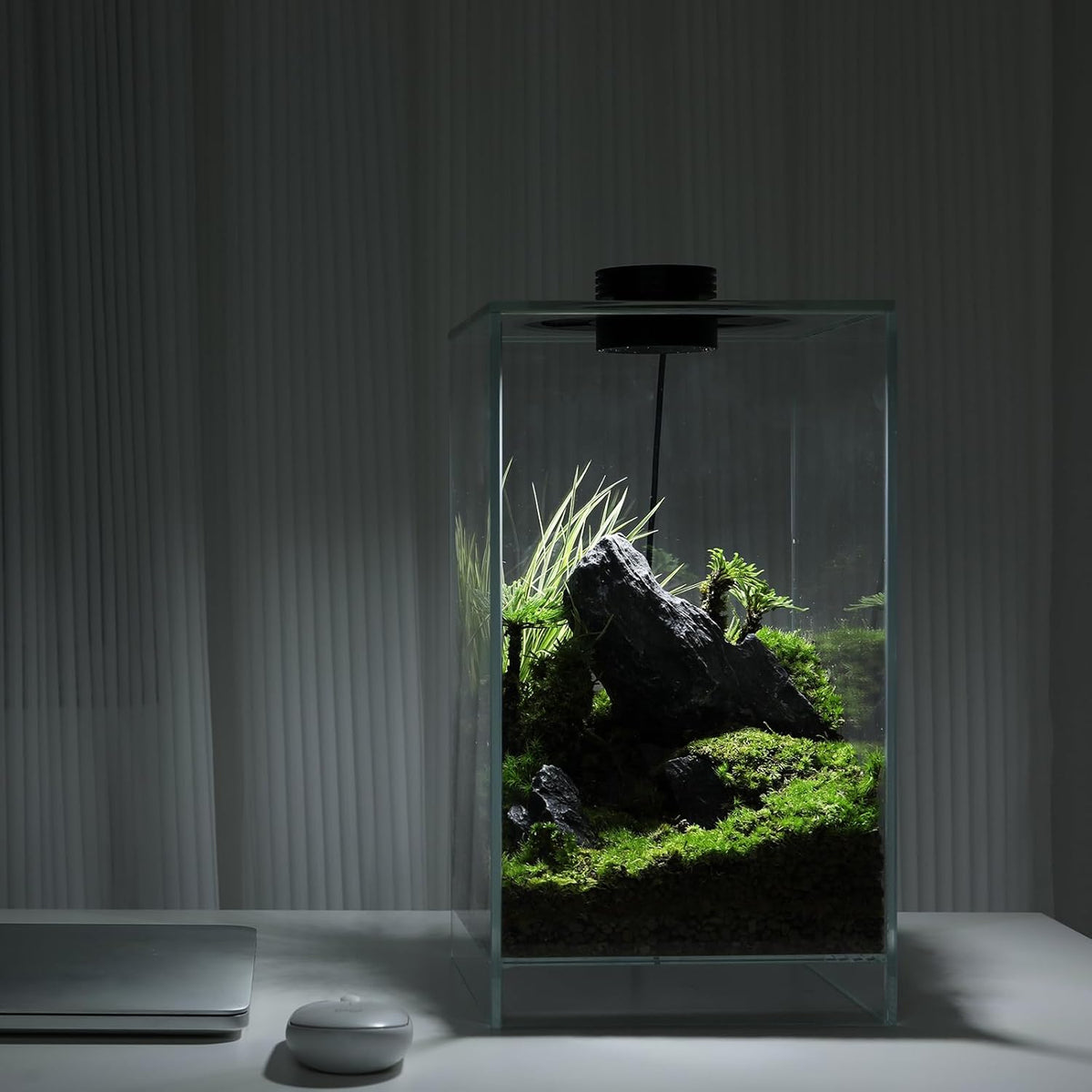 Desktop Glass Plant Terrarium with Grow Light(L7.8 W7.8 H14), for Succulent, Moss, Miniature Gardening Landscape, Betta Fish Tank, Indoor Plant Growth, Office Home Decoration (TimeControlled)