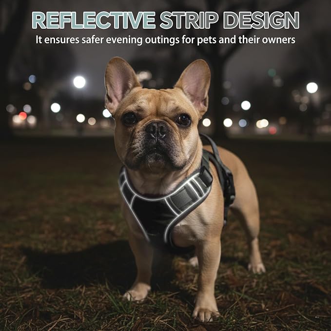 Heavy Duty Tactical Dog Harness for Small Dogs, No Pull Dog Harness with Handle & Front Clip, Reflective Soft Padded, Hook and Loop Panel, Dog Vest for Walking, Service Training, Army Green
