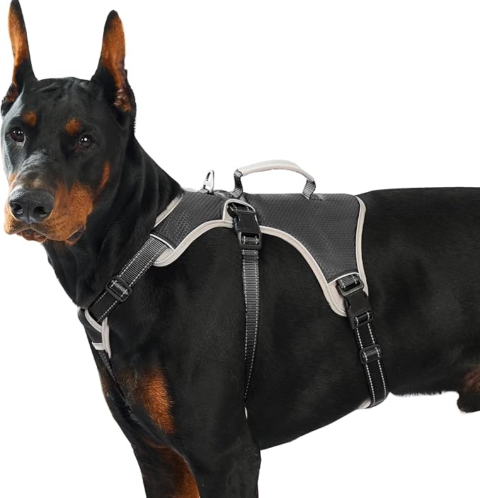 Escape Proof Dog Harness, Dachshund Harness, Reflective Dog Harness with Handle, Durable,Adjustable Vest for Small Medium Large Dogs Walking, Training, and Running Gear (Black,XL)