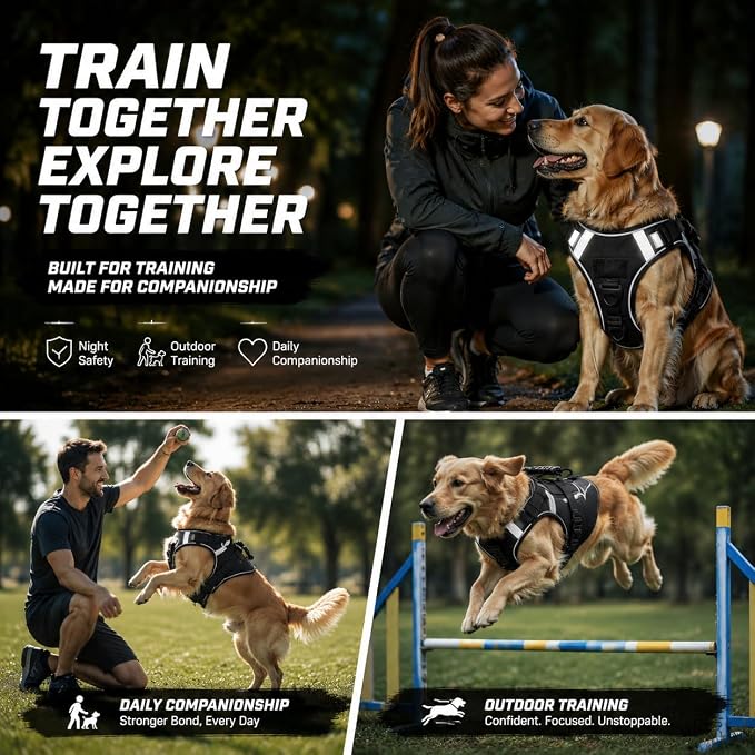 No Pull Tactical Dog Harness with Handles and Loop Panel,Tactical Dog Vest with Molle System, Adjustable Reflective Pet Vest for Walking Hiking Training Black M