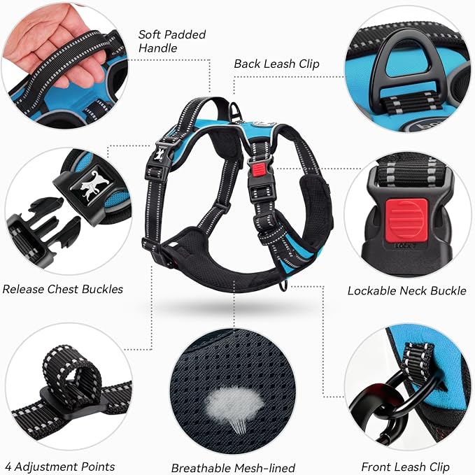 PoyPet No Pull Dog Harness Large with Front Clip & Neck Release Buckle | No Choke, Adjustable Vest, Reflective, Back Clip, Lockable, Soft Padded, Easy Control Handle for Walking Training, XL, Blue