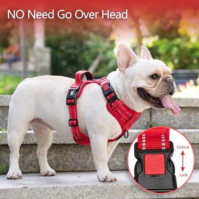 PoyPet No Pull Dog Harness, Reflective Vest with 2 Leash Clips & Handle | Lockable Neck Release Buckle, No Choke, Adjustable, Soft Padded, for Walking Training, Red Matching Trim, Medium