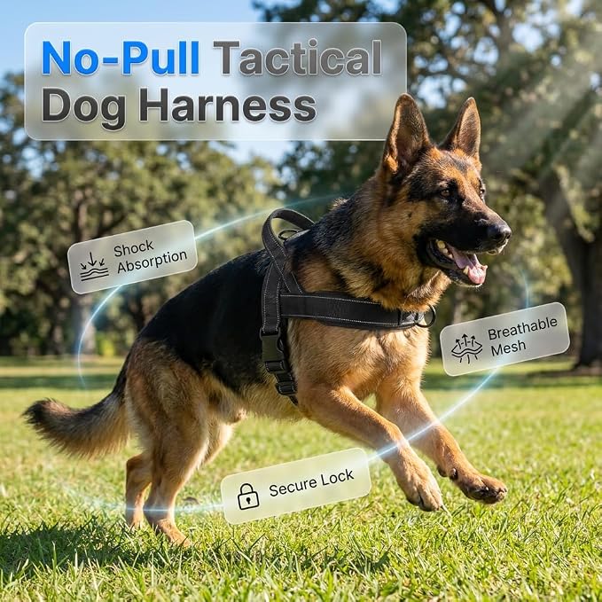 No-Pull Dog Harness with Handle, Adjustable Reflective Pet Vest Tactical Harness for Small Medium Large Dogs Walking Training, Front Clip, Escape Proof & Heavy Duty D-Ring (Pink, M)
