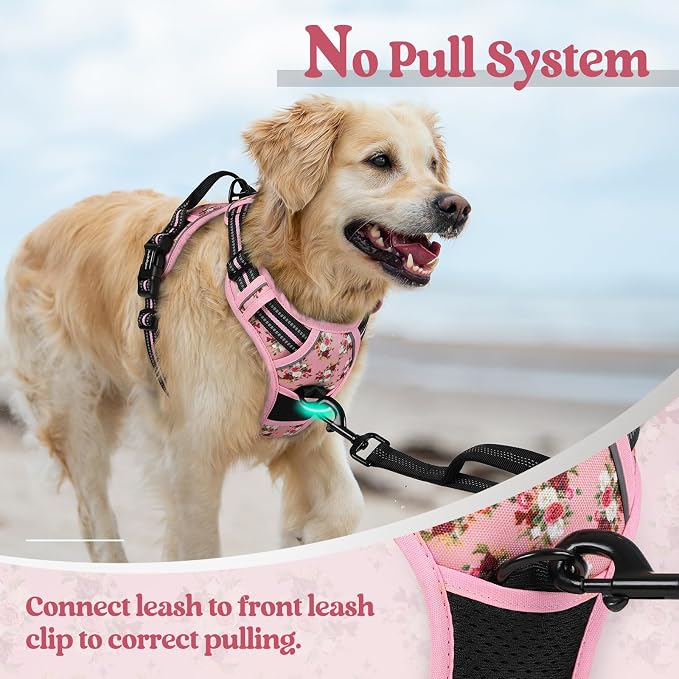 rabbitgoo Dog Harness, No Pull for Large Dogs with 2 Leash Clips, Pet Vest | No Choke with Handle, Adjustable Soft Padded, Reflective, Easy Control for Walking, Pink Rose, Large