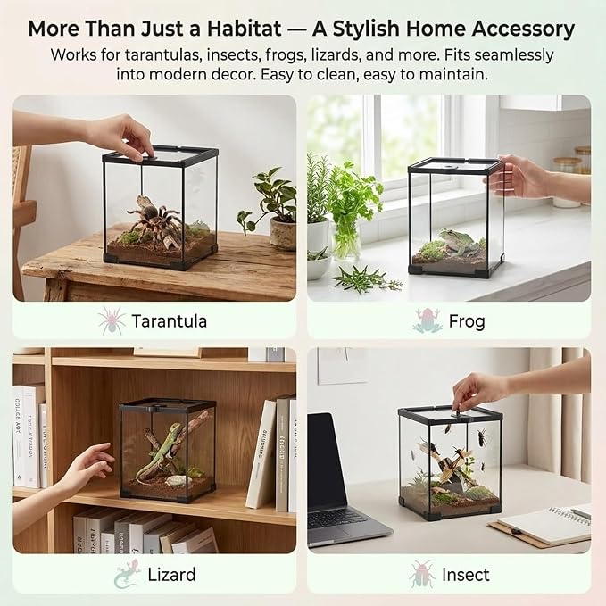 8x8x12 Terrarium Glass Tarantula Enclosure: Full View Stackable Tank | Jumping Spider Enclosure with Lockable Sliding Screen Top for Crested Gecko Hermit Crab - Vertical Habitat for Arboreal Frog