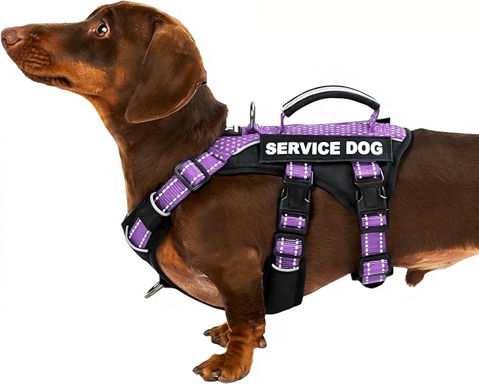 Service Dog Vest Harness, Escape Proof Harness with 6 Patches, No-Pull, Reflective Harness with Handle, Adjustable for Small to Large Dogs, for Training and Hiking (Lavender Purple, XS)