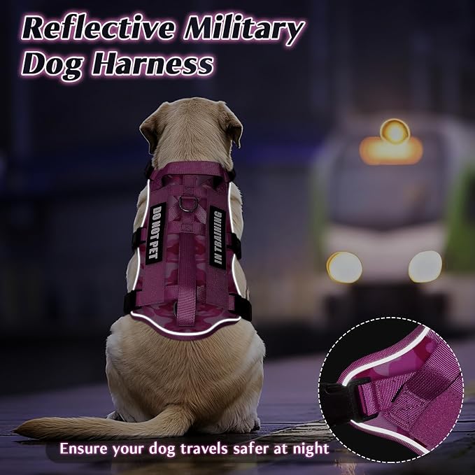Escape Proof Dog Harness with Double Handle+4 Removable Patches | Service Working Molle Harness with Double Handle for Medium Dogs, Tactical Pet Reflective Vest for Walking Hiking Hunting
