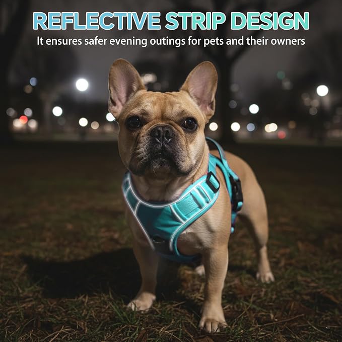 Heavy Duty Tactical Dog Harness for Small Dogs, No Pull Dog Harness with Handle & Front Clip, Reflective Soft Padded, Hook and Loop Panel, Dog Vest for Walking, Service Training, Blue