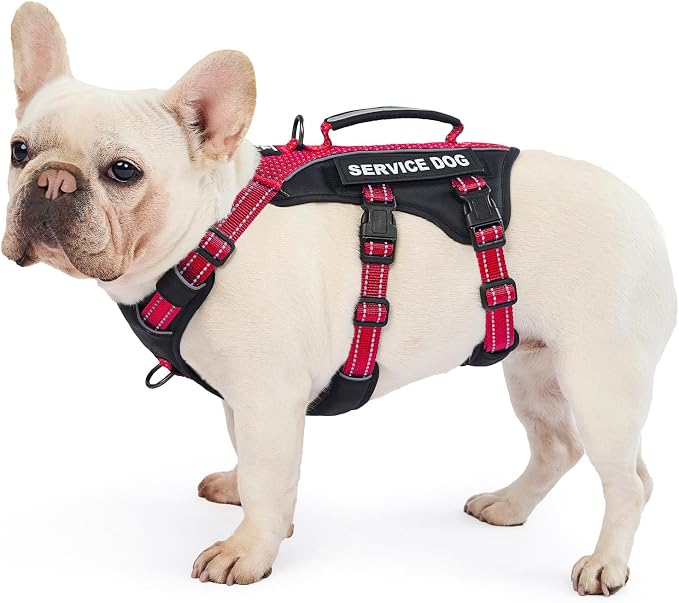 Service Dog Vest Harness, Escape Proof Harness with 6 Patches, No-Pull, Reflective Harness with Handle, Adjustable for Small to Large Dogs, for Training and Hiking (Red, M)