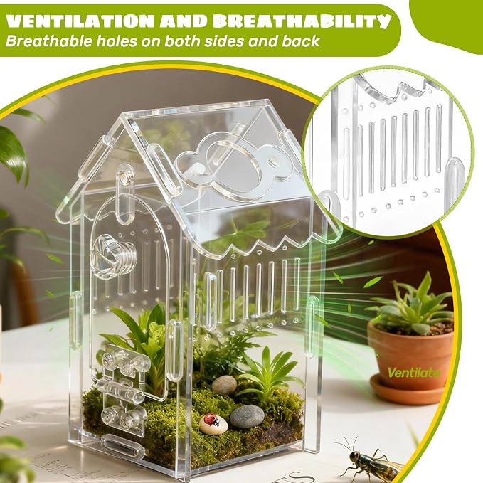 Jumping Spider Enclosure Acrylic Spider Cage Insect Terrarium Bug Enclosure Tarantula Enclosure Reptile Terrarium for Snail, Mantis, Lizard, and Small Reptiles - Small House Shape