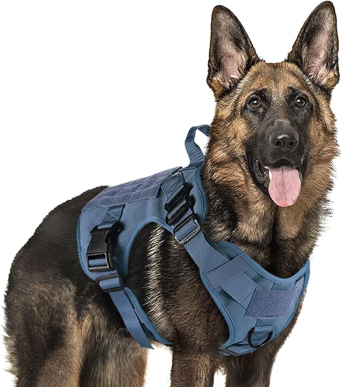 rabbitgoo Tactical Dog Harness X-Large, Heavy Duty Military No Pull Vest | Sturdy Metal Buckles, 5 Adjustments, Molle System, Powerful Pullers for Training, Hunting, Outdoor, Blue, X-Large