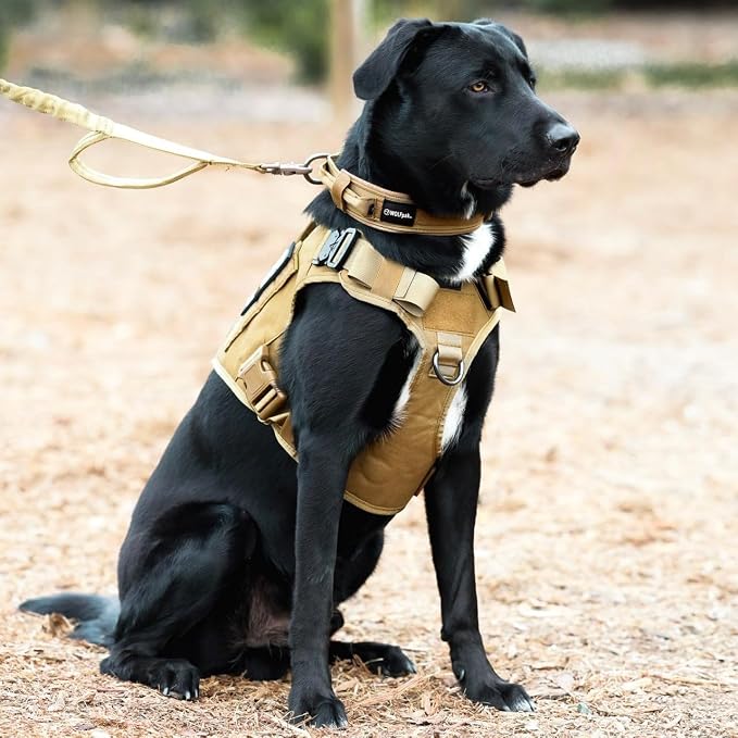 WOLFpak Tactical Dog Vest Harness No Pull Breathable MOLLE(Khaki, Large) | Dual Grab Handles, 1000D Nylon, Four-Point Adjustment, MOLLE Attachment Panels, Three Storage Pockets, Metal Alloy Buckles