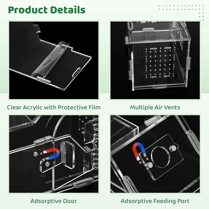 Large Jumping Spider Acrylic Enclosure, Clear Acrylic Spider Habitat Box with Adsorptive Door Feeding Hole, Ventilated Small Reptile Terrarium for Small Lizard Snail Cricket Mantis