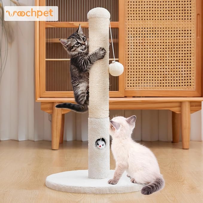 Woochpet Cat Scratching Post for Kitten, 23in Tall Cute Small Cat Scratching Post with Premium Sisal Rope and Dangling Cat Toy Balls (White)