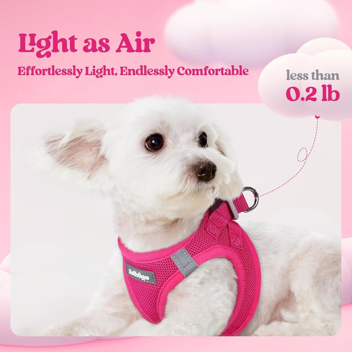 rabbitgoo Dog Harness Small Sized and Leash Set, Step in Soft Light Puppy Vest, Breathable Mesh Pet Harness, Reflective for Safe Easy Walking, Rosa Red XXXS
