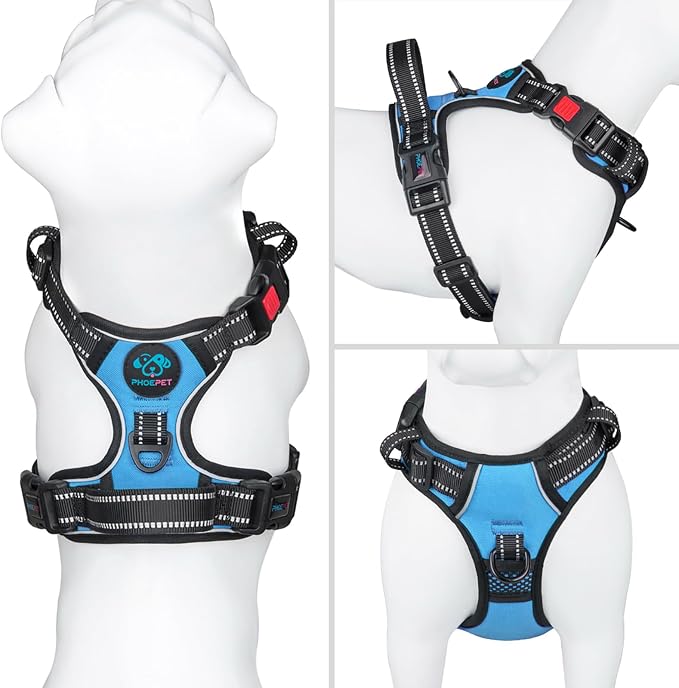 Reflective Dog Harness Large Breed Adjustable No Pull Vest | with Handle 2 Metal Rings 3 Buckles [Easy to Put on & Take off](L, Blue)