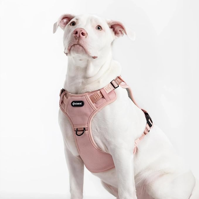 Fei & Eve Classic Dog Harness, MagEase Magnetic Buckle | 3-Point No-Pull Control, Dual Handle Support, 900D Nylon, Tactical Patch Panel, Heavy Duty, X-Large, Pink