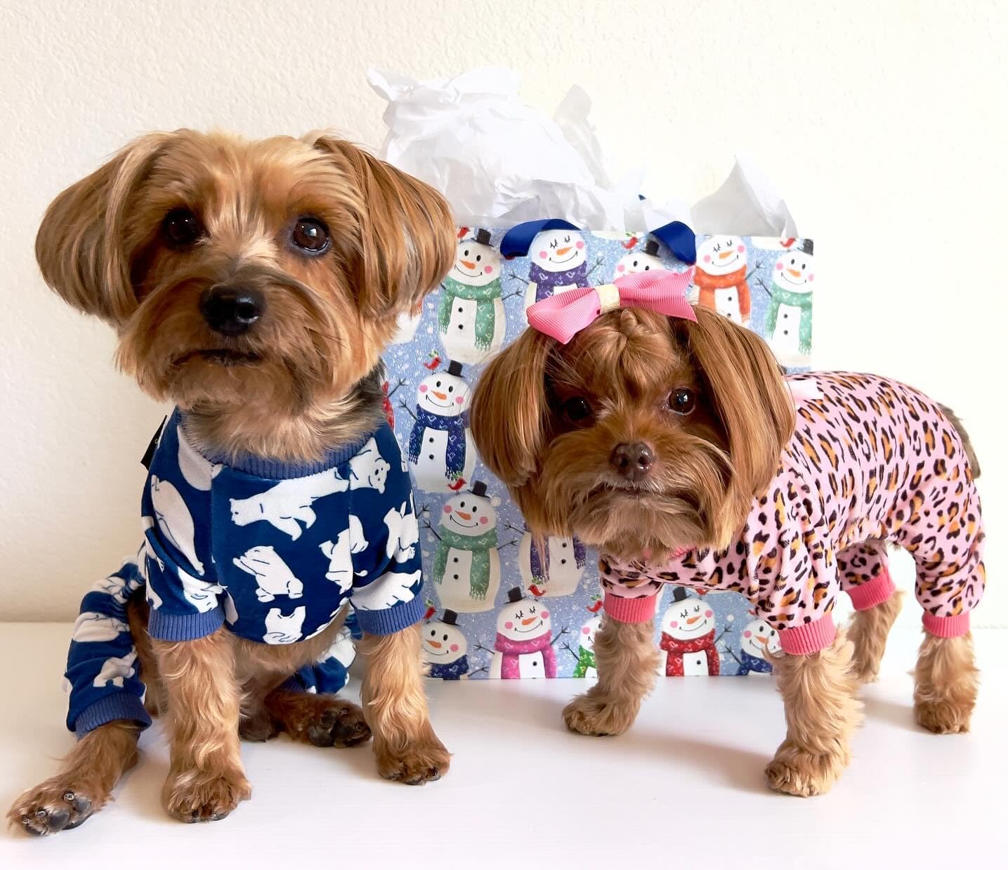 Fitwarm Leopard Dog Pajamas, Fleece Dog Clothes for Small Dogs Girl with Legs, Pet Onesie, Cat Outfit, Pink, Small