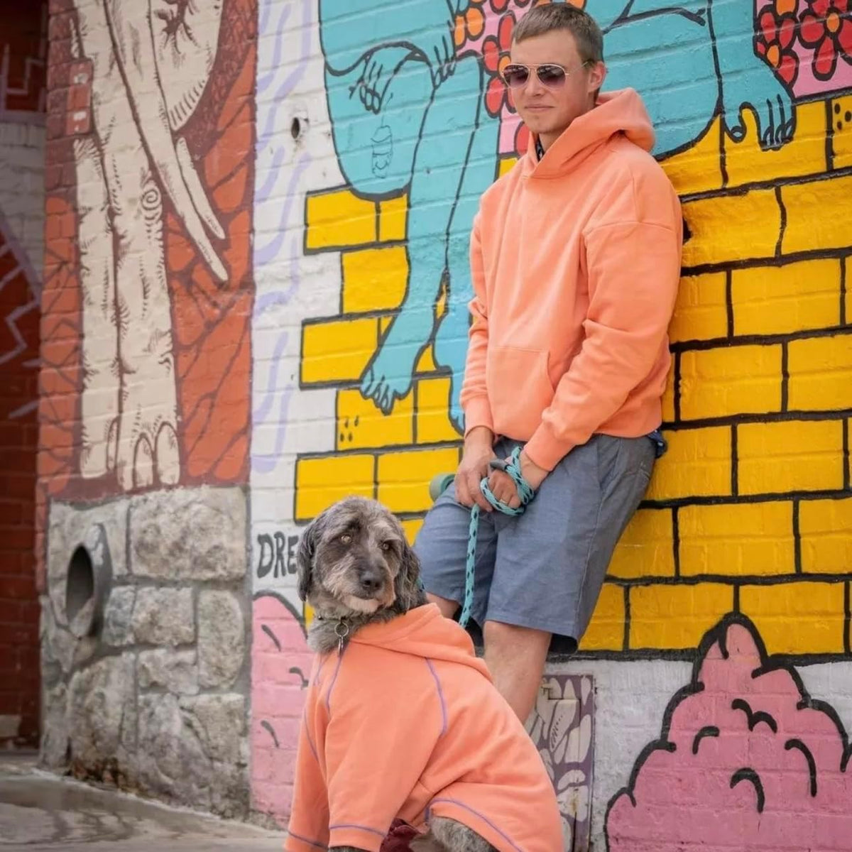 Blueberry Pet Essentials Dog Hoodie – 16 inch, Cotton‑Blend Sweatshirt with Hood, Coral, Machine‑Washable Small‑Dog Jersey