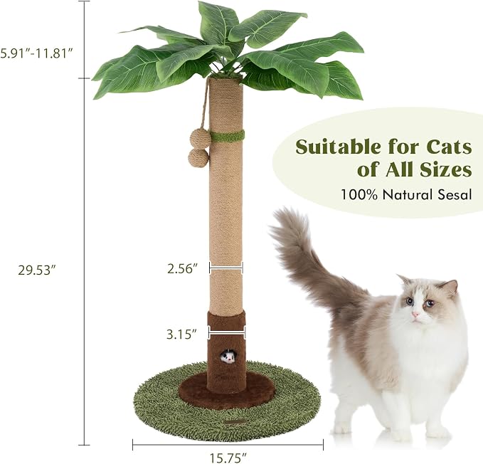 Woochpet Cat Scratching Post for Indoor Cats and Kitten - 35.43" Tall Cat Scratching Post with Sisal Rope,Palm Tree Cat Scratch Post with Hanging Ball (35.4-Green, 35.4in)