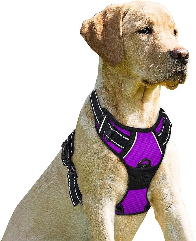 BARKBAY No Pull Dog Harness Front Clip Heavy Duty Reflective Easy Control Handle for Large Dog Walking(Purple,XL) | Soft Padded No Choke With Handle,Easy On&Off,Adjustable Reflective For Walking Training Running(Purple,XL)