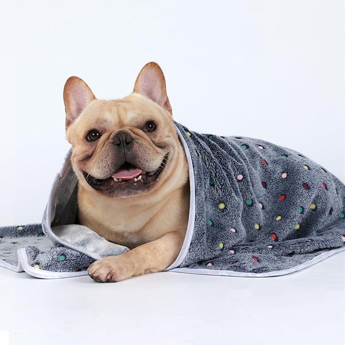 Luciphia 1 Pack 3 Blankets Super Soft Cute Dot Pattern Pet Blanket Flannel Throw for Dog Puppy Cat Small(23x16), Grey