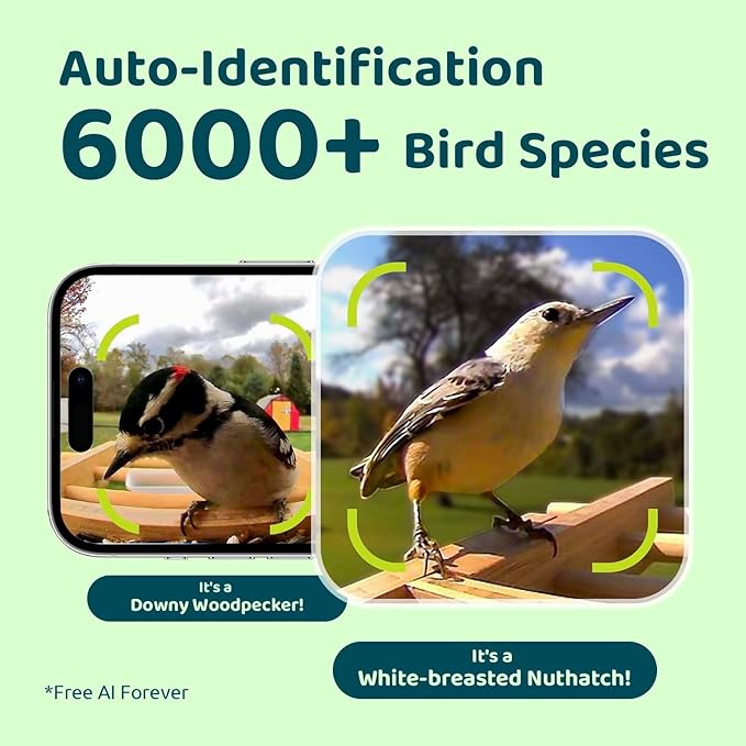 NETVUE by Birdfy Smart Bird Feeder with Camera Solar Powered,2K Live Steam&Permanent AI Identify for Birds&Motion Detection,Birds Watching Ideal Wood Feeder for Chistmas Gift for mom,Bird-Lover