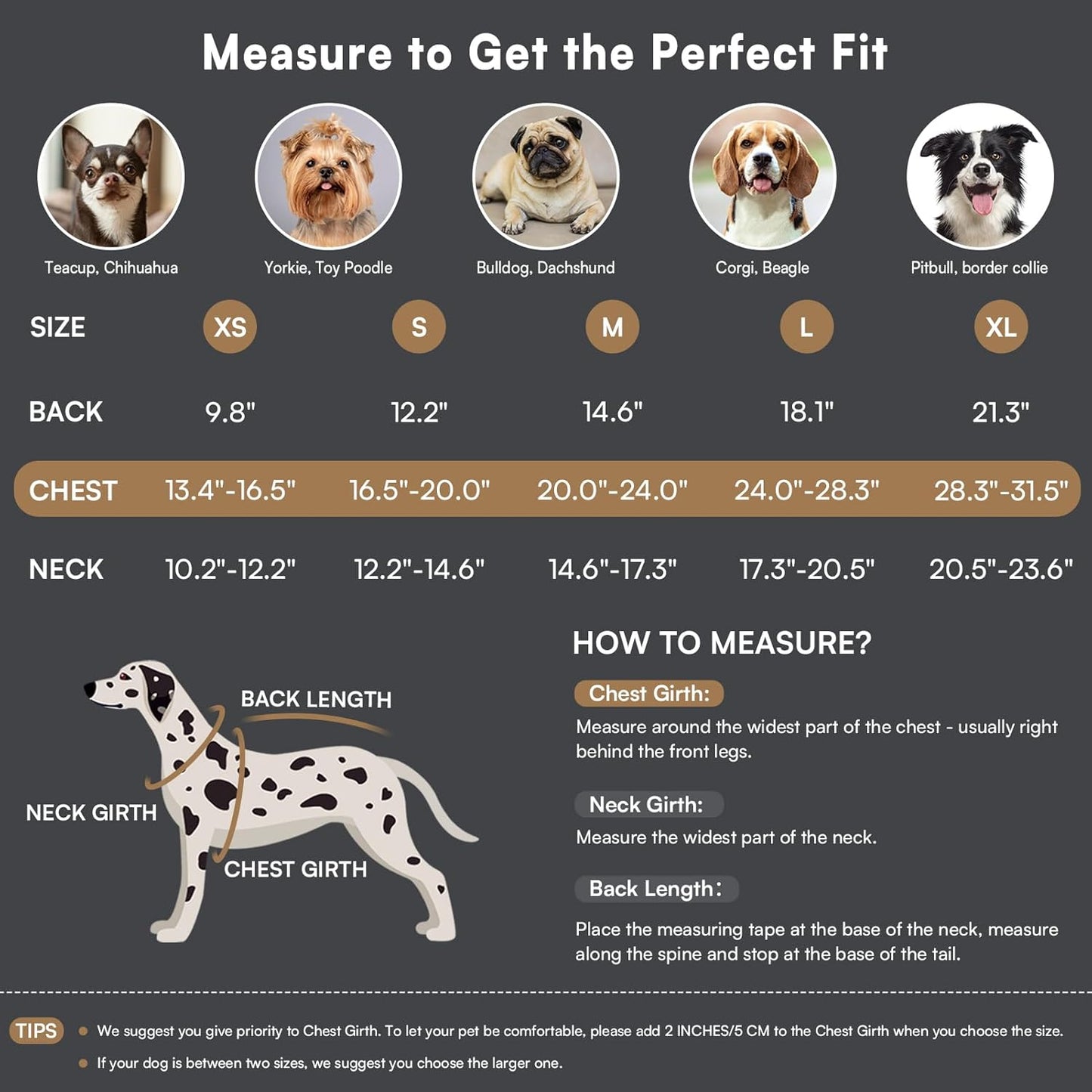 Queenmore Dog Winter Coat - Fleece Jacket, Waterproof Cold Weather Clothes, Thick Warm Cotton Padding, Easy On Storage Pockets (Grey, Medium)