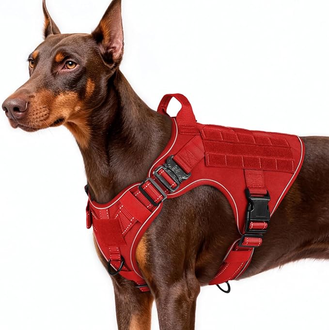 rabbitgoo Tactical Dog Harness for Large, Heavy Duty Military No Pull Vest | Sturdy Metal Buckles, 5 Adjustments, Molle System, Powerful Pullers for Training, Hunting, Outdoor, Red Reflex, Large