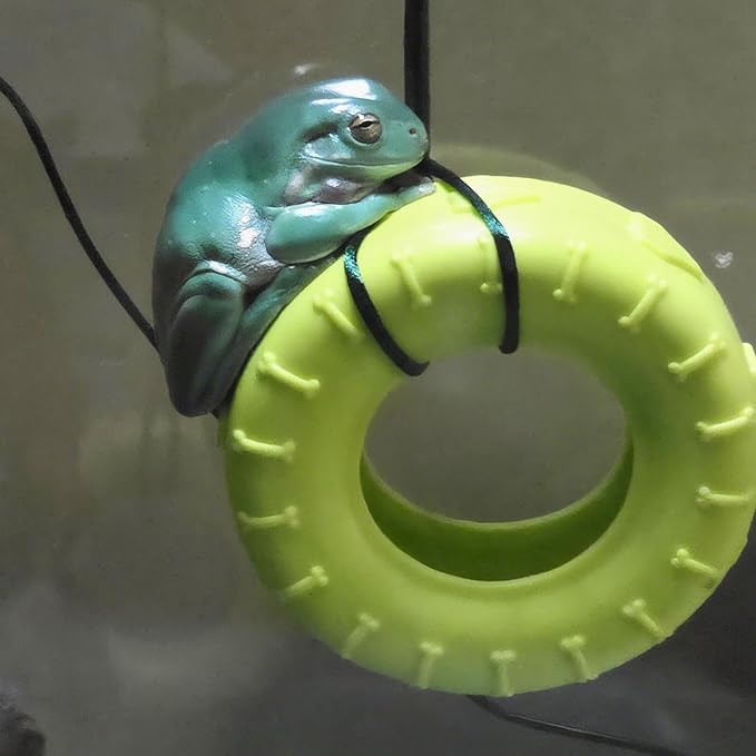 JSLZF 2PCS Tree Frog Habitat Frog Tank Accessories Terrarium Decor Frog Climbing Swing with Suction Cup Hook Green Rubber Climbing Toy for Frogs