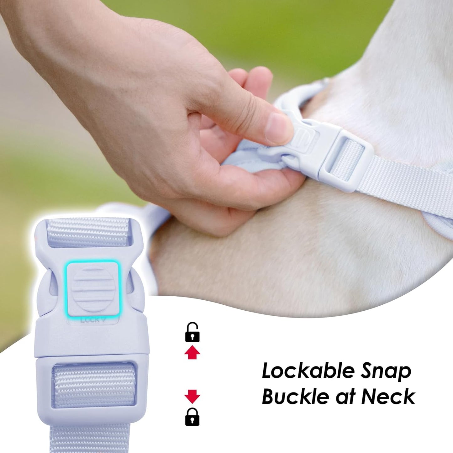 No Pull Dog Harness, Puppy Vest with Front Clip for Small Medium Large Sized Dog(Light Blue,XS)