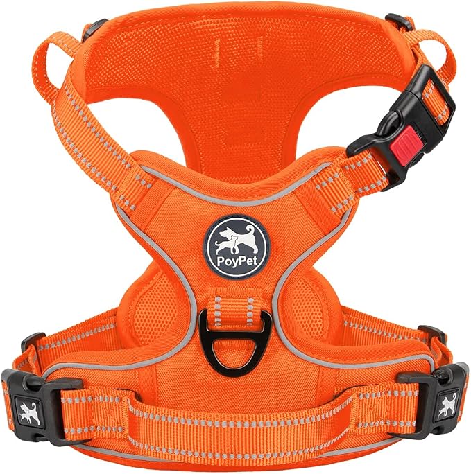 PoyPet No Pull Dog Harness, Reflective Vest with 2 Leash Clips & Handle | Lockable Neck Release Buckle, No Choke, Adjustable, Soft Padded, for Walking Training, Orange Matching Trim, X-Small