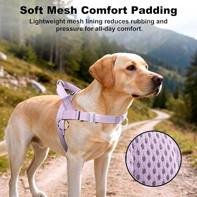 No Pull Dog Harness with Handle, Adjustable Soft Mesh Padded Vest | Reflective Walking Harness with Front Clip for Small Medium Large Dogs, Quick Fit No Escape for Training, Purple, XS