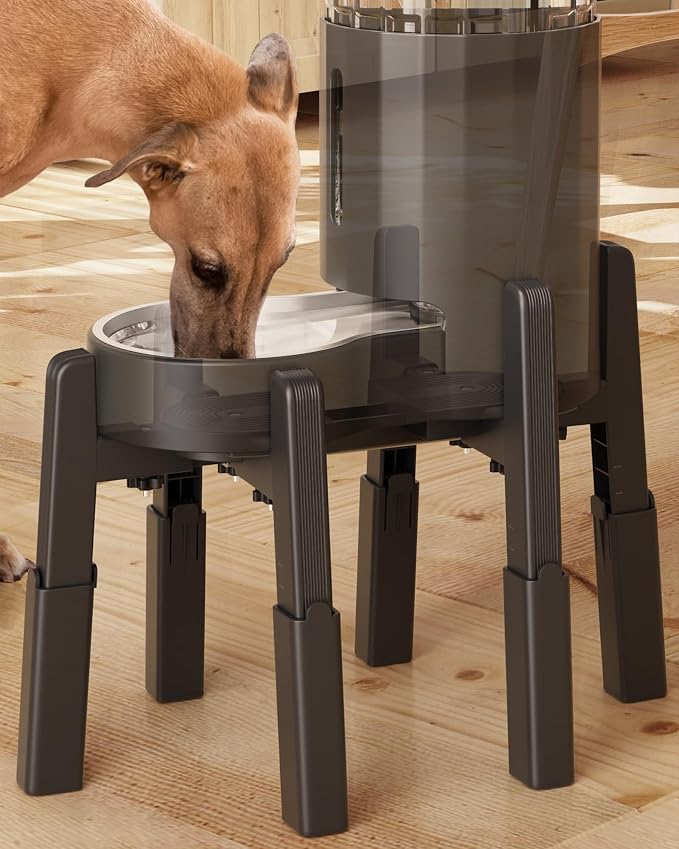 Dog Water Dispenser Stand, Pet Automatic Feeder Holder, Stand Only | Elevated Pet Water & Food Bowl for Medium Dogs, Stable and Anti-Slip Raised Bowl