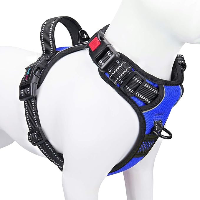 No Pull Dog Harness Medium Reflective Front Clip Vest with Handle | Adjustable 2 Metal Rings 3 Buckles,[Easy to Put on & Take Off](XS, Royal Blue)