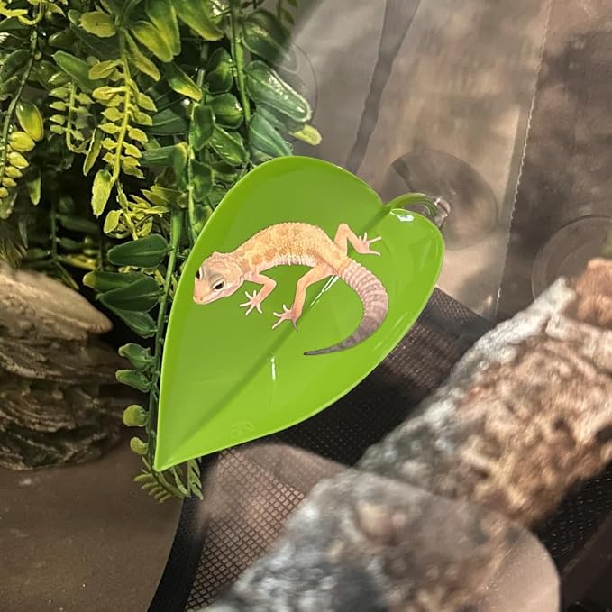 KVZVK 2Pcs Tree Frog Tank Leaf Decorations,Leaf Shape Basking Platform with Suction Cups for Leopard Gecko Tank Accessories for African Dwarf Frog