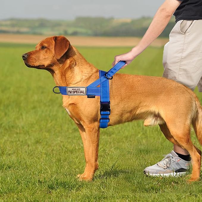 Annchwool No Pull Dog Harness with Soft Padded Handle,Reflective Strip Escape Proof and Quick Fit to Adjust Dog Harness,Easy for Training Walking for Small & Medium and Large Dogs(Blue,M)