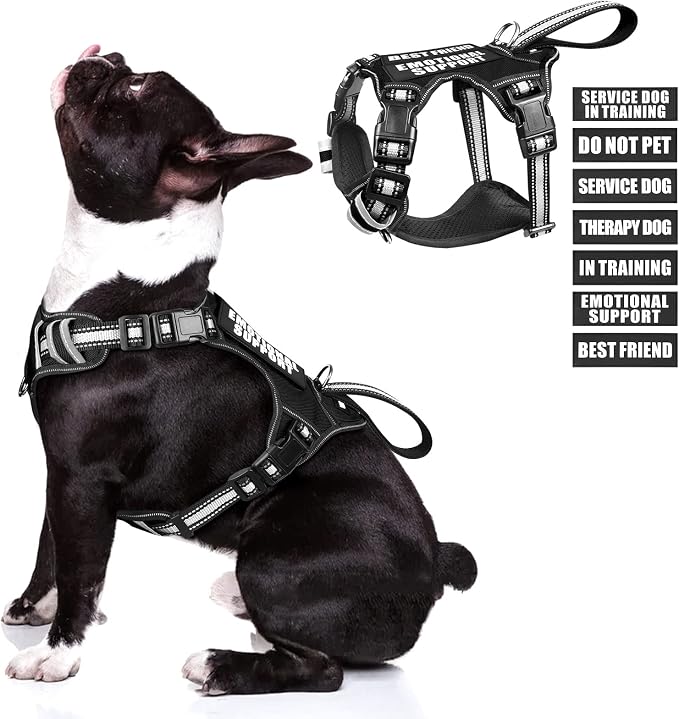 Service Dog Vest No Pull Dog Harness with 7 Dog Patches, Reflective Pet Harness with Durable Soft Padded Handle for Training Small, Medium, Large, and Extra-Large Dogs (Medium, Black)