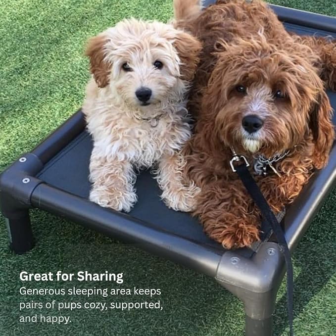 Kuranda Chewproof Elevated Dog Bed - Walnut PVC - 35" x 23" - Sunsure Textilene Outdoor Mesh - Sierra