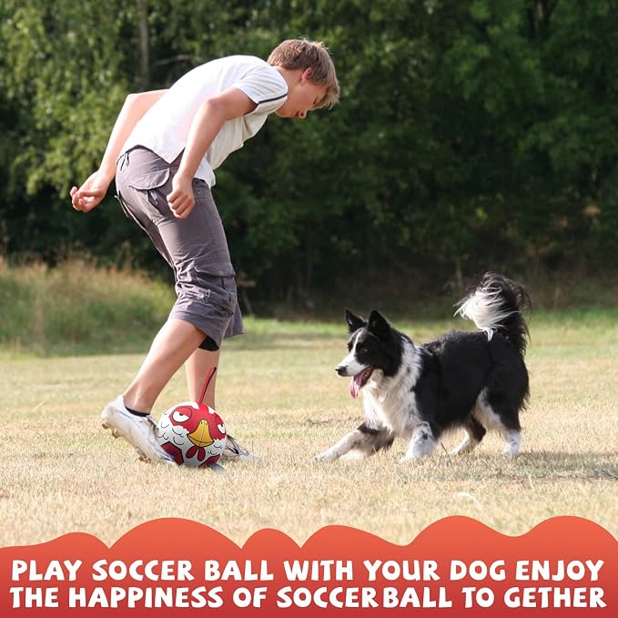 QDAN Dog Toy Balls, Dog Soccer Ball with Straps, Balls for Dogs, Small Puppy Dog Outdoor Water Pool Birthday Gifts Toy for Small Medium Dogs, 6 Inch, Chicken Ball, Pelotas para Perros