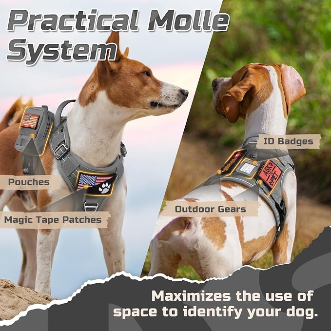 rabbitgoo Tactical Dog Harness for X-Large, No Pull Military Service Vest | Molle & Handle, Heavy Duty, Adjustable, Reflective Straps, Easy Control for Training Walking, Grey, X-Large