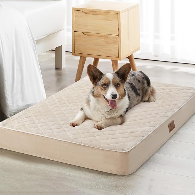 WNPETHOME Orthopedic XXL Dog Beds for Large Senior Dog Bed Comfy Sleeping | XXL Washable Waterproof Dogs Bed with Removable Cover, Multi-Needle Quilting Dogs Crate Bed for Relax , Beige 55x42 Inch