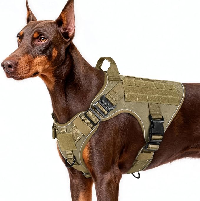 rabbitgoo Tactical Dog Harness for Large, Heavy Duty Military No Pull Vest | Sturdy Metal Buckles, 5 Adjustments, Molle System, Powerful Pullers for Training, Hunting, Outdoor, Brown Reflex, Large