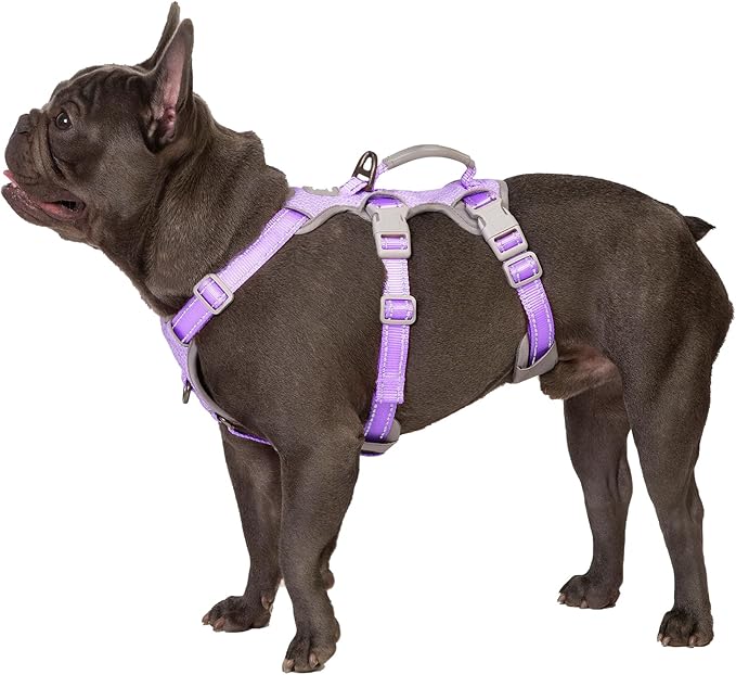 Escape Proof Harness,No Slip Dog Harness Escape Proof,Fully Reflective Harness with Handle,Breathable,Durable,Adjustable Vest for Medium Dogs Walking,Training & Running Gear(Lavender Purple,M)