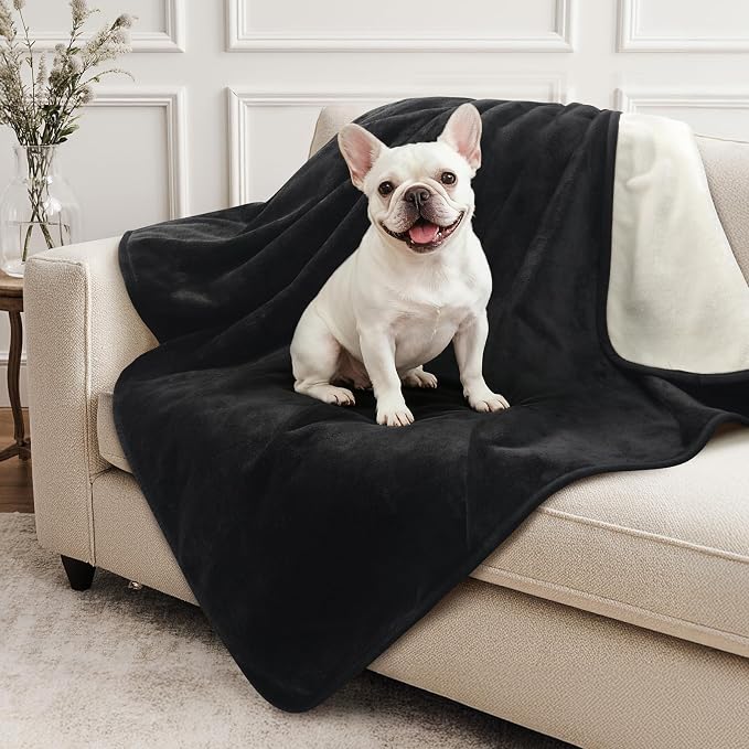 LOOBANI Waterproof Dog Blanket for Small Dogs, Pet Blanket 30" x 40", Black | Double Side Liquid-Proof, Puppy Blanket for Dog Cat Bed, Crate, Playpen, Reversible Soft Flannel, Couch Cover Throw