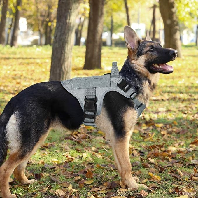 rabbitgoo Tactical Dog Harness for Medium, Heavy Duty Military No Pull Vest | Sturdy Metal Buckles, 5 Adjustments, Molle System, Powerful Pullers for Training, Hunting, Outdoor, Grey, Medium