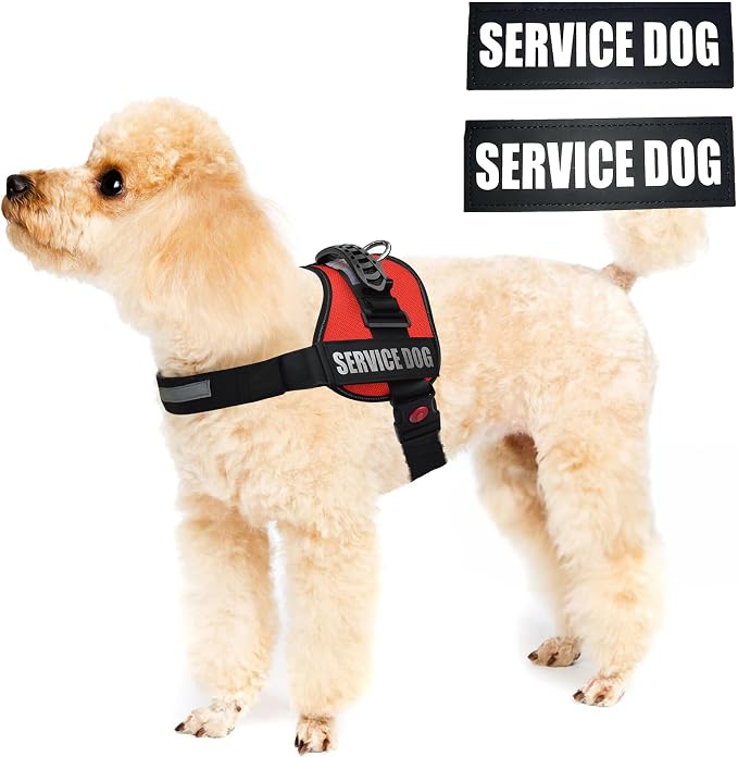 Service Dog Vest Harness – Reflective Service Animal Vest with Handle, No-Pull Adjustable Mesh Padding – XXS–XL – 2 Removable Patches. (XXS, Red)