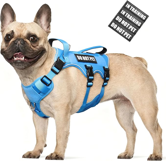 Escape Proof Dog Harness with Double Handle+4 Removable Patches | Service Working Molle Harness with Double Handle for Medium Dogs, Tactical Pet Reflective Vest for Walking Hiking Hunting